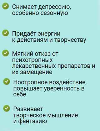 Микродозинг мухоморами свойства