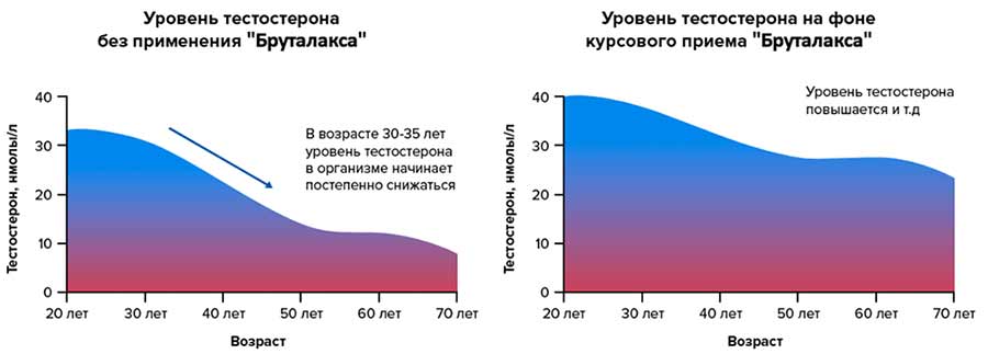 Бруталакс действие капсул на уровень тестостерона