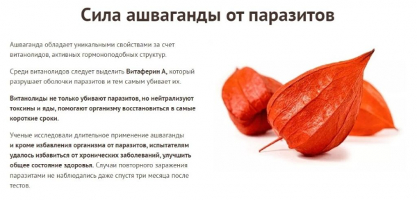  Параксан от паразитов 