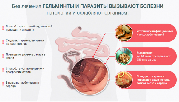 
Toximin &ndash; средство от паразитов 