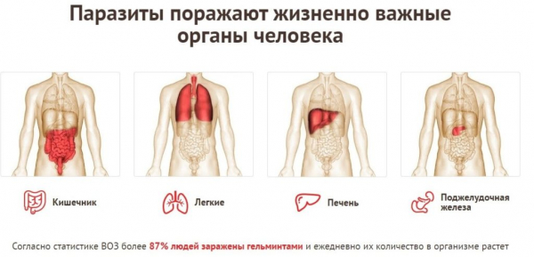  Параксан от паразитов 