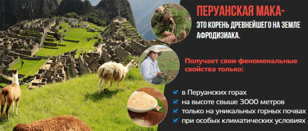 Порошок Маки перуанской для улучшения потенции
Порошок Маки перуанской для улучшения потенции