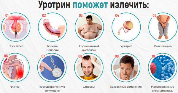 Препарат Уротрин для поддержания мужского здоровья
Препарат Уротрин для поддержания мужского здоровья