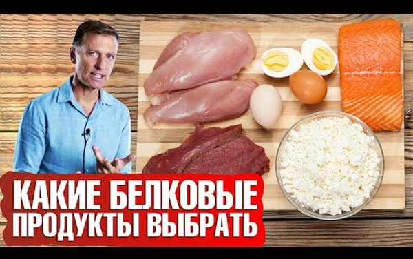 Можно ли питаться одним белком?