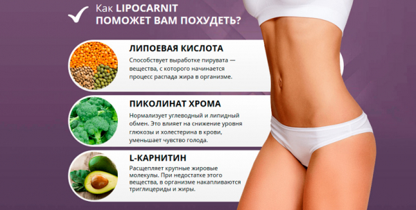 Lipocarnit – средство для похудения
Lipocarnit – средство для похудения