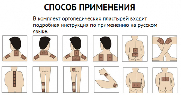 ZB Pain Relief – уникальный пластырь на основе лекарственных трав
ZB Pain Relief – уникальный пластырь на основе лекарственных трав