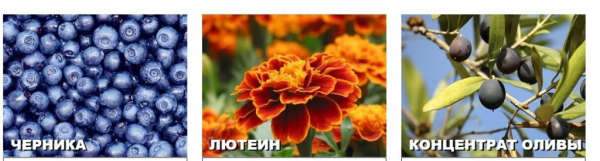 Визоплекс для зрения
Визоплекс для зрения