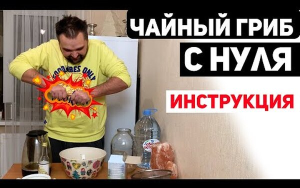 Чем может быть опасен напиток из&nbsp;чайного гриба и&nbsp;сколько можно пить его в&nbsp;день?
