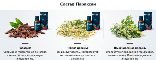 Параксан от паразитов 