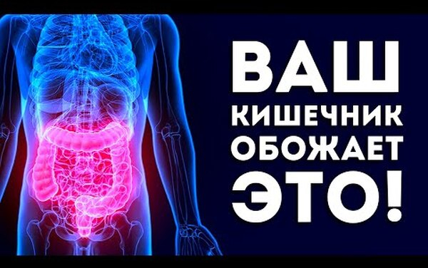 Без боли и&nbsp;проблем: как правильно заботиться о&nbsp;своём кишечнике?