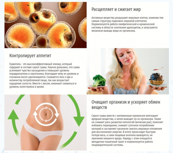 Гуавиталь для похудения Гуавиталь для похудения