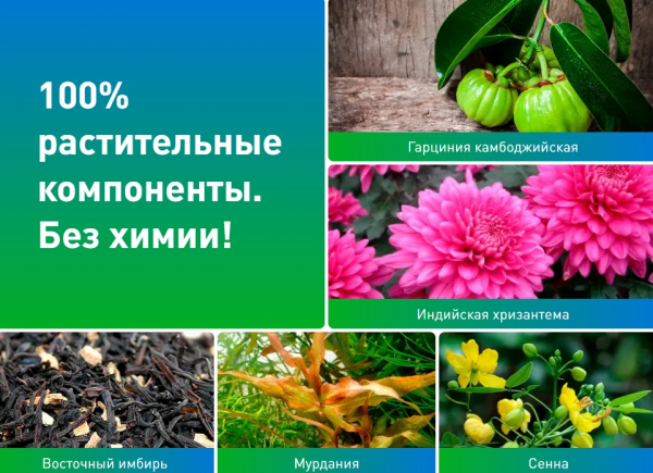 Бунси – тайские таблетки для похудения
Бунси – тайские таблетки для похудения