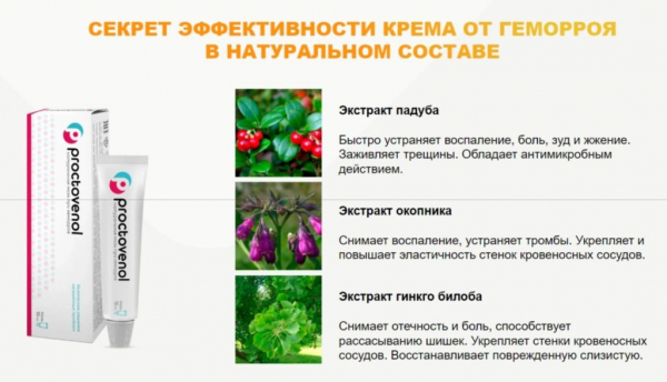 Proctovenol от геморроя
Proctovenol от геморроя