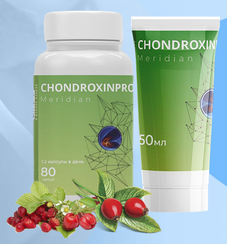 ChondroxinPro Meridian капсулы и крем для суставов, отзывы
ChondroxinPro Meridian капсулы и крем для суставов, отзывы
