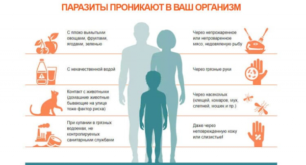 Токсипол от глистов
Токсипол от глистов
