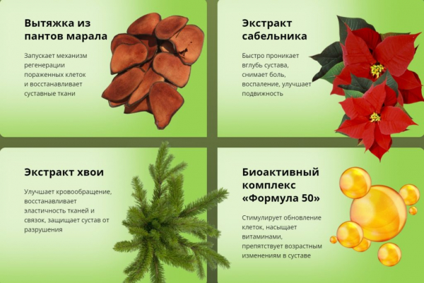 Артокс гель для суставов
Артокс гель для суставов