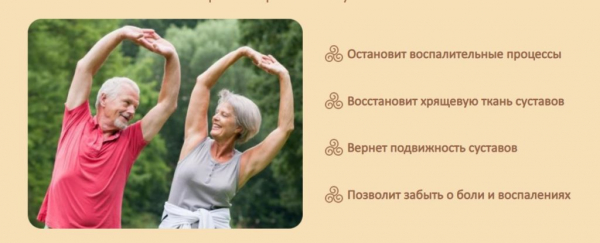 Arthron Meridian для суставов
Arthron Meridian для суставов