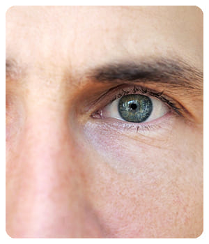 Ocuvit Ocuvit