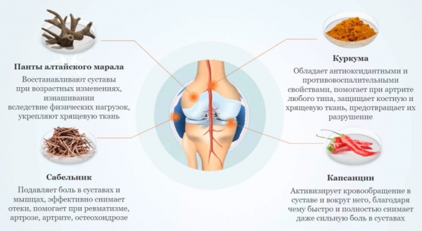 Artex крем-мазь для суставов Artex крем-мазь для суставов