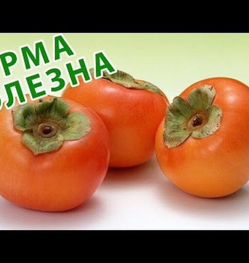 9 необычайно полезных свойств хурмы 9 необычайно полезных свойств хурмы