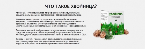 Как повысить свой иммунитет. Хвойница Как повысить свой иммунитет. Хвойница