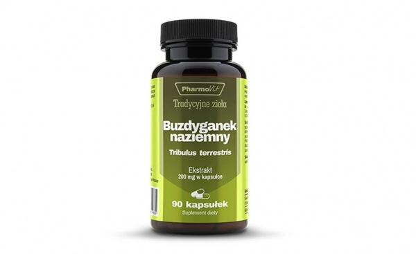 Pharmovit Tribulus Terrestrial для мочеполовой системы
Pharmovit Tribulus Terrestrial для мочеполовой системы