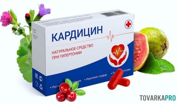 Кардицин – натуральное средство от гипертонии: работает или нет
Кардицин – натуральное средство от гипертонии: работает или нет