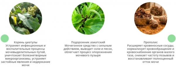  Урофорт Дуо – капсулы от недержания 