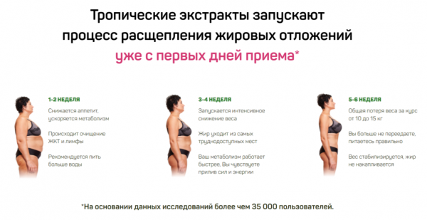  Фрутакса для похудения 
