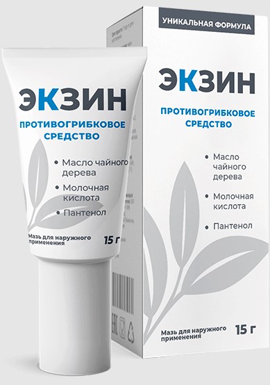 Экзин
Экзин