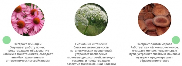  Урофорт Дуо – капсулы от недержания 