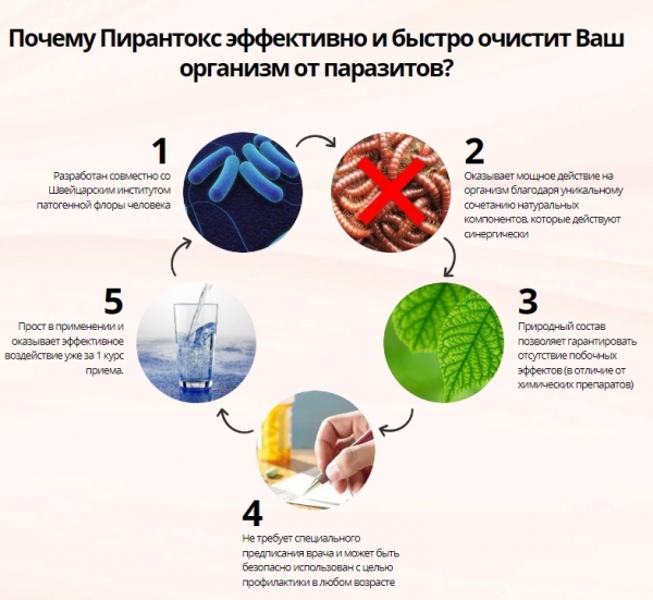 Пирантокс — капсулы от паразитов
Пирантокс — капсулы от паразитов