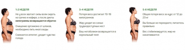 Фруталика
Фруталика