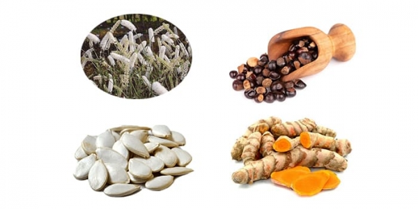 Black Cohosh Black Cohosh