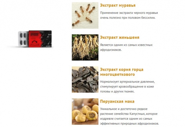 Черный Муравей для мужчин Черный Муравей для мужчин