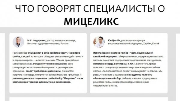 Мицеликс грибной сбор
Мицеликс грибной сбор