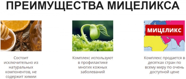 Мицеликс грибной сбор
Мицеликс грибной сбор