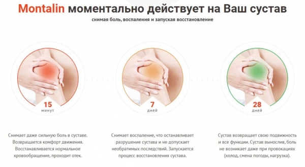 «МОНТАЛИН» лекарство для суставов – инструкция по применению, цена, отзывы, аналоги
«МОНТАЛИН» лекарство для суставов – инструкция по применению, цена, отзывы, аналоги