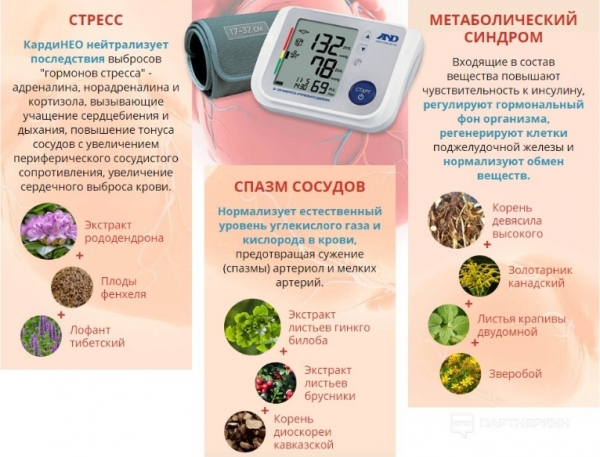 Кардинео капсулы для нормализации давления
Кардинео капсулы для нормализации давления