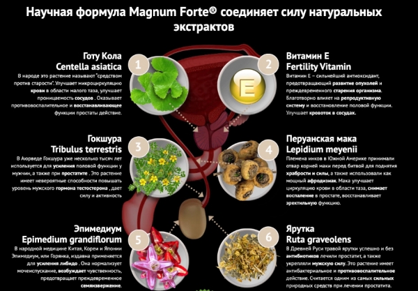 Магнум форте+ для потенции
Магнум форте+ для потенции