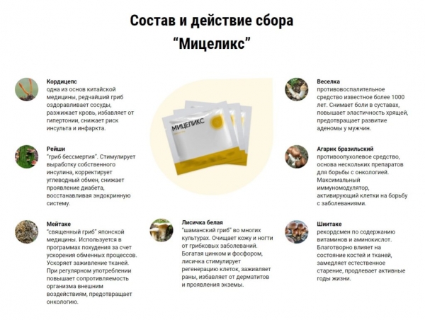 Мицеликс грибной сбор
Мицеликс грибной сбор