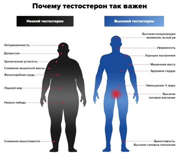 
Бруталакс для потенции 