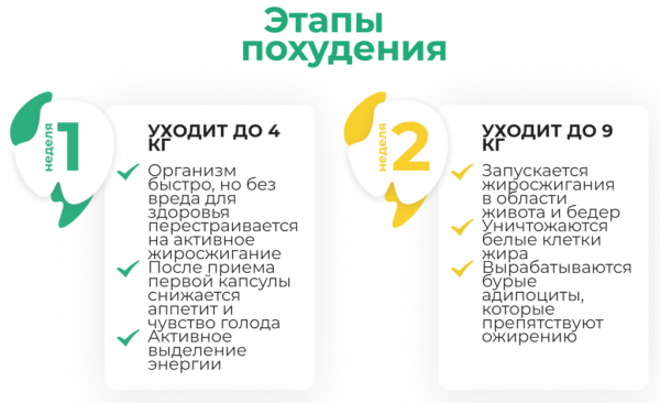 
Эффективные капсулы Слимофор для быстрого похудения 