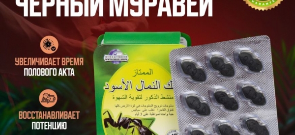 Черный муравей — эффективное средство для повышения потенции
Черный муравей — эффективное средство для повышения потенции