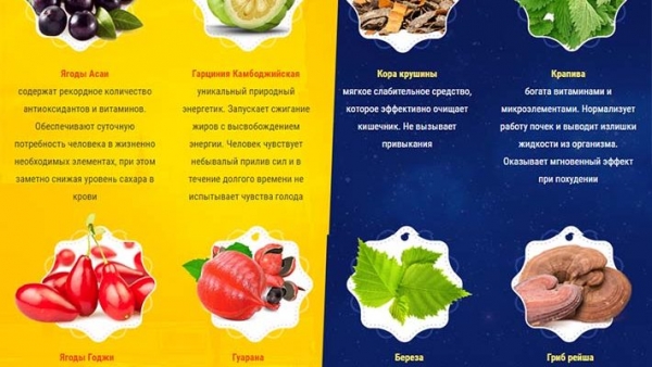 Капли OneTwoSlim для похудения
Капли OneTwoSlim для похудения