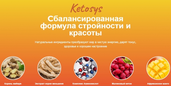 Ketosys (Кетосис)
Ketosys (Кетосис)