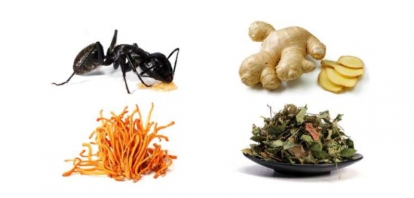 Ant King
Ant King