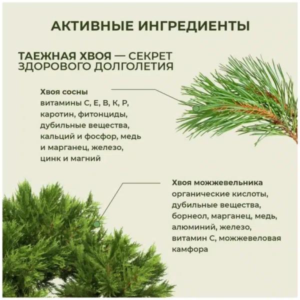 Хвойница порошок для омоложения Хвойница порошок для омоложения