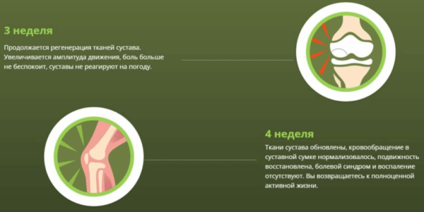 Монастырская травница — мазь для лечения суставов Монастырская травница — мазь для лечения суставов