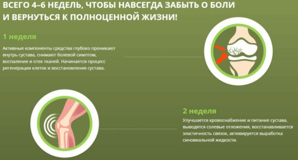 Монастырская травница — мазь для лечения суставов Монастырская травница — мазь для лечения суставов